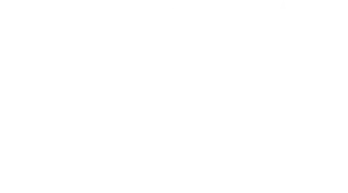 Grupo Mirgor